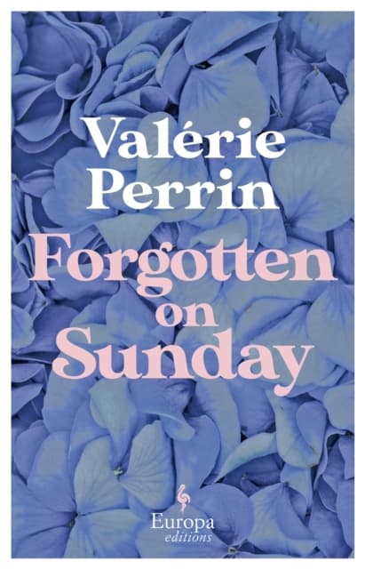 Forgotten On Sunday (Bok / Häftad)