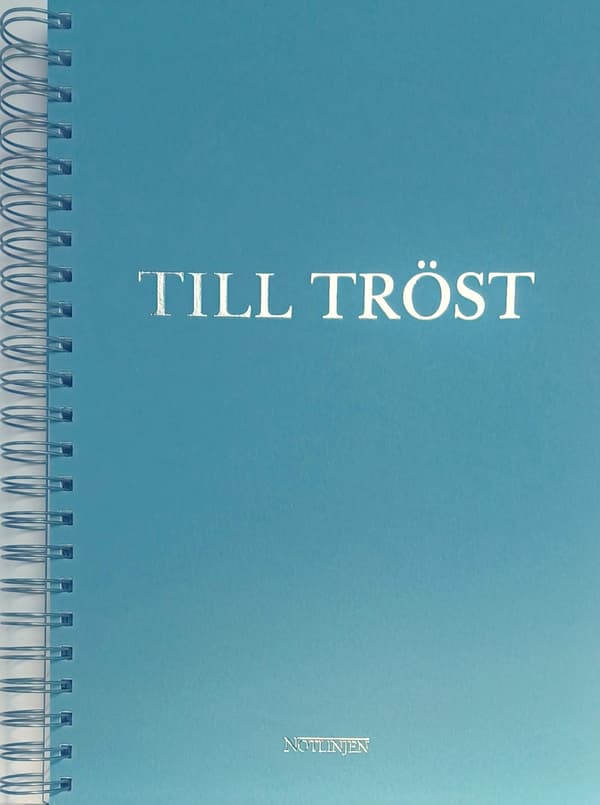 Till Tröst (Bok / Spiral)