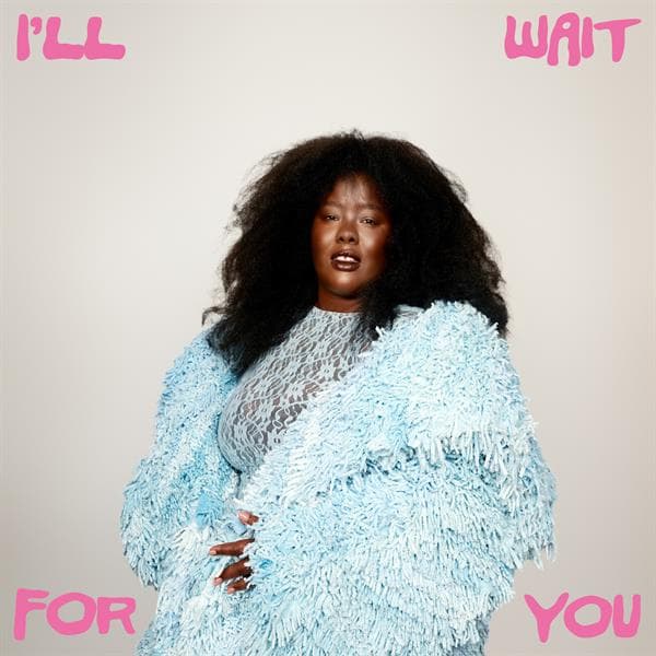Nnavy: I'll Wait for You (Vinyl LP)