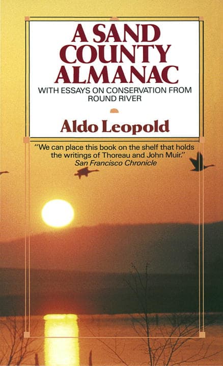 Sand County Almanac (Kirja / Nidottu)