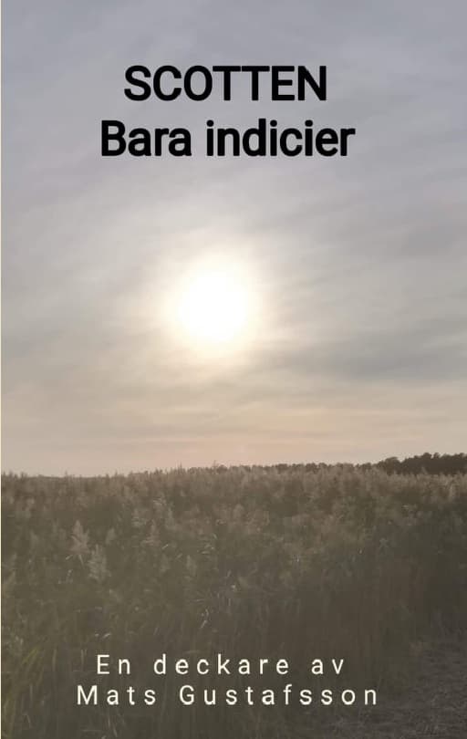 Bara Indicier (Kirja / Nidottu)