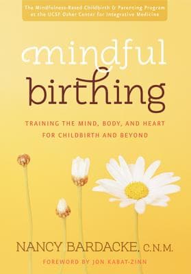Mindful Birthing (Kirja / Nidottu)