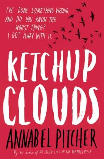 Ketchup Clouds (Kirja / Nidottu)