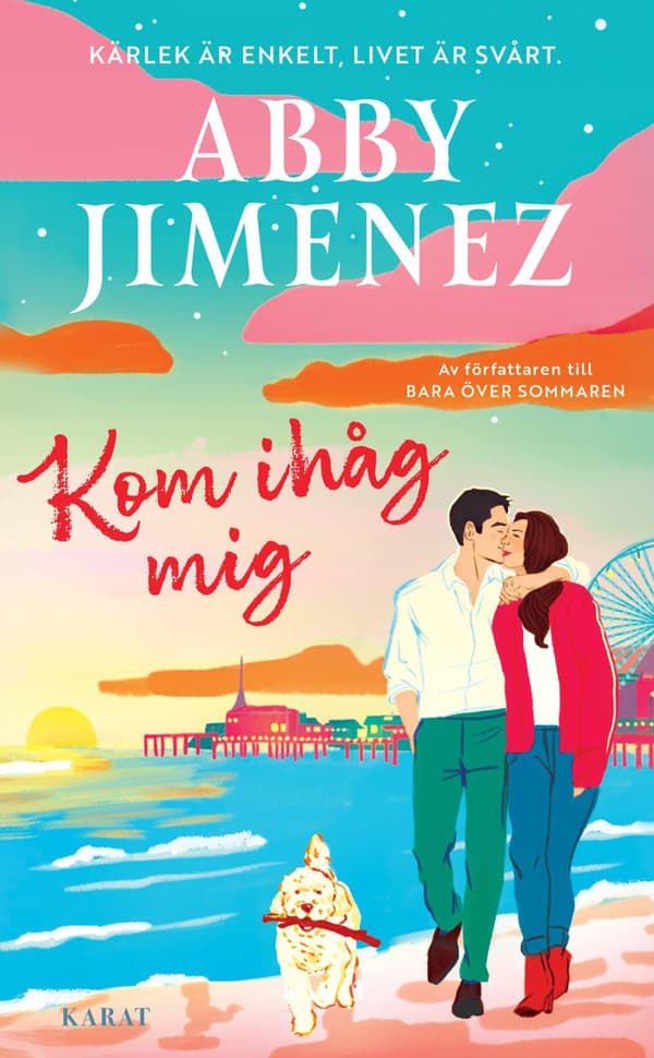 Kom Ihåg Mig (Bok / Pocket)