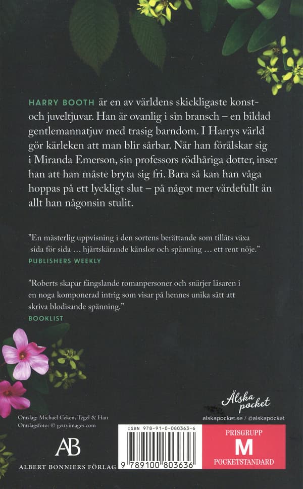 Keskiyön rikos (Kirja)