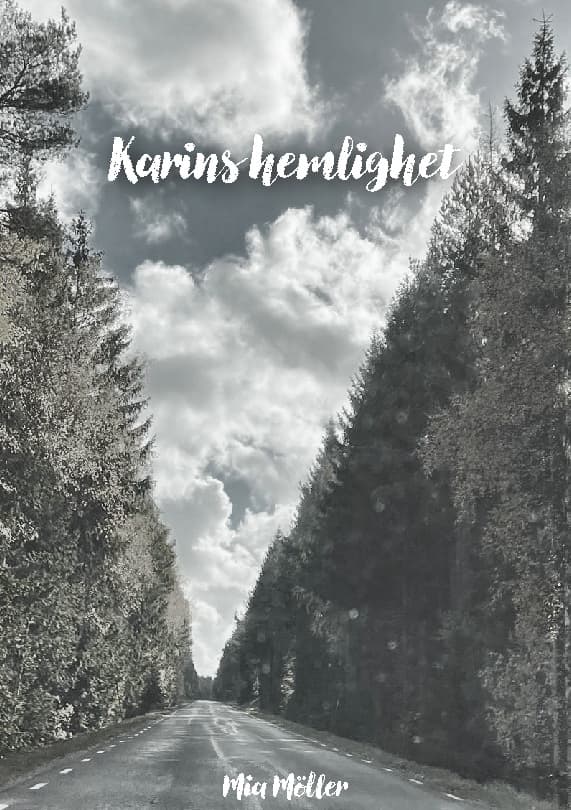 Karins Hemlighet (Bok / Häftad)