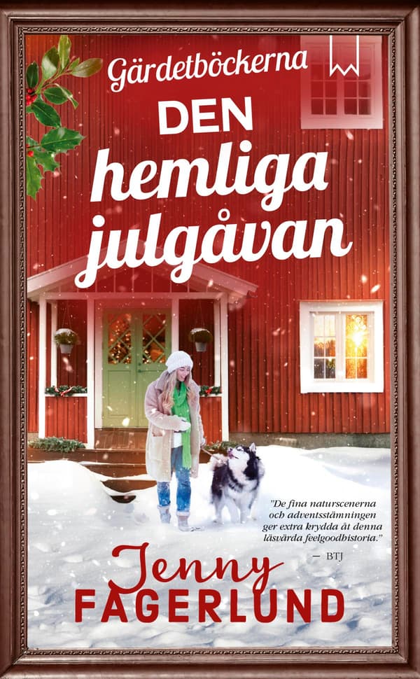 Den Hemliga Julgåvan (Bok / Pocket)
