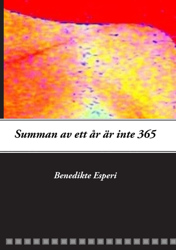 Summan Av Ett År Är Inte 365 (Bok / Häftad)