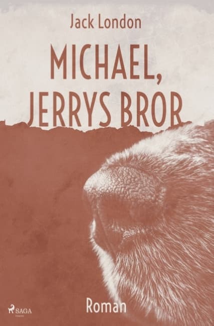 Michael, Jerrys Bror (Bok / Häftad)