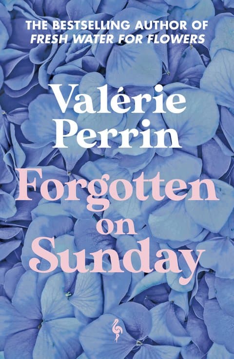 Forgotten on Sunday (Bok / Pocket)