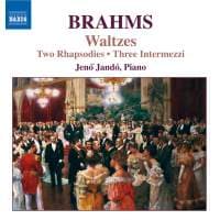 Brahms: Valssit Op 39 (Jando) (CD)