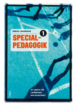 Specialpedagogik 1 (Bok / Häftad)