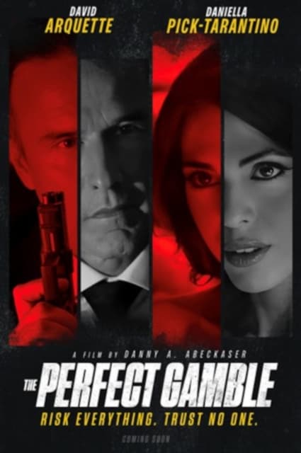 The Perfect Gamble (DVD)