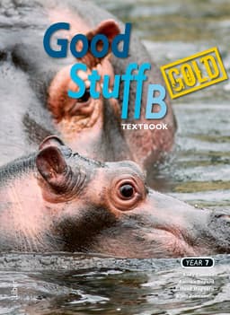 Good Stuff Gold b Textbook (Bok / Häftad)