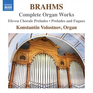 Brahms: Kootut urkuteokset (CD)