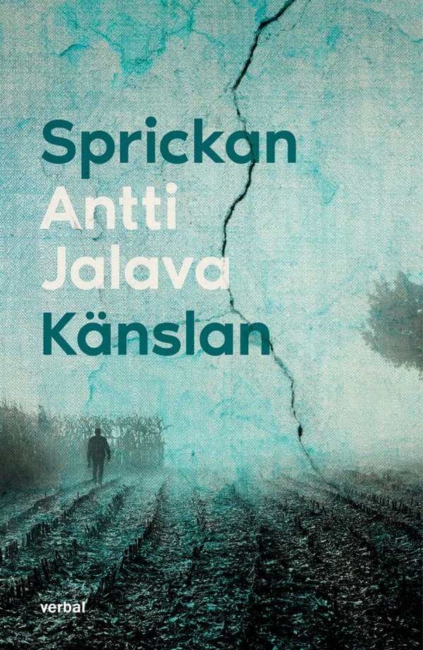 Sprickan & Känslan (Bok / Inbunden)