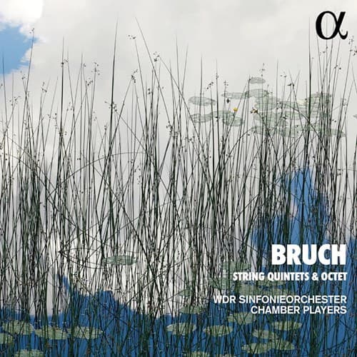 Bruch Max: Jousikvintetit & Oktetti (CD)