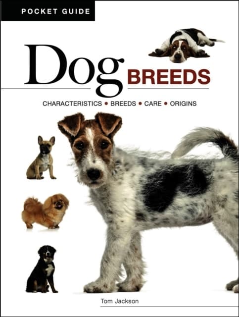 Dog Breeds (Bok / Häftad)