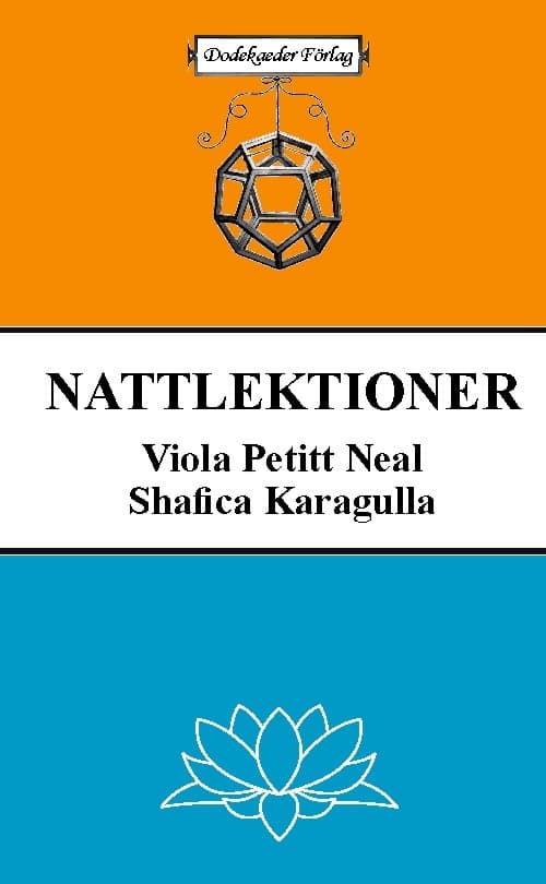 Nattlektioner (Bok / Inbunden)