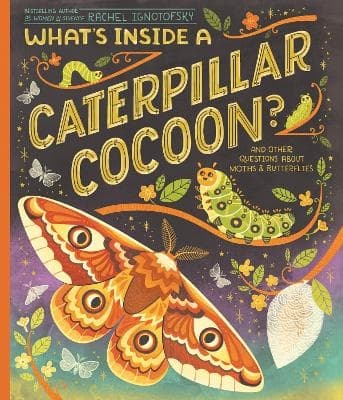 What's Inside A Caterpillar Cocoon? (Bok / Häftad)