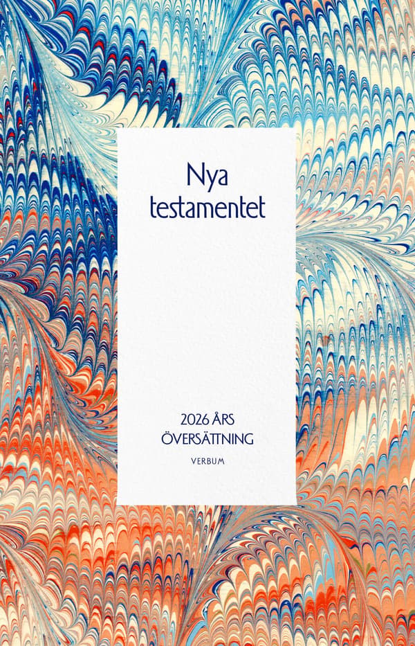 Nya Testamentet, 2026 Års Översättning (Bok / Storpocket)