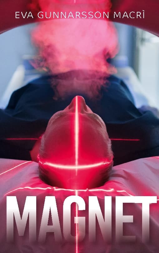 Magnet (Kirja / Nidottu)