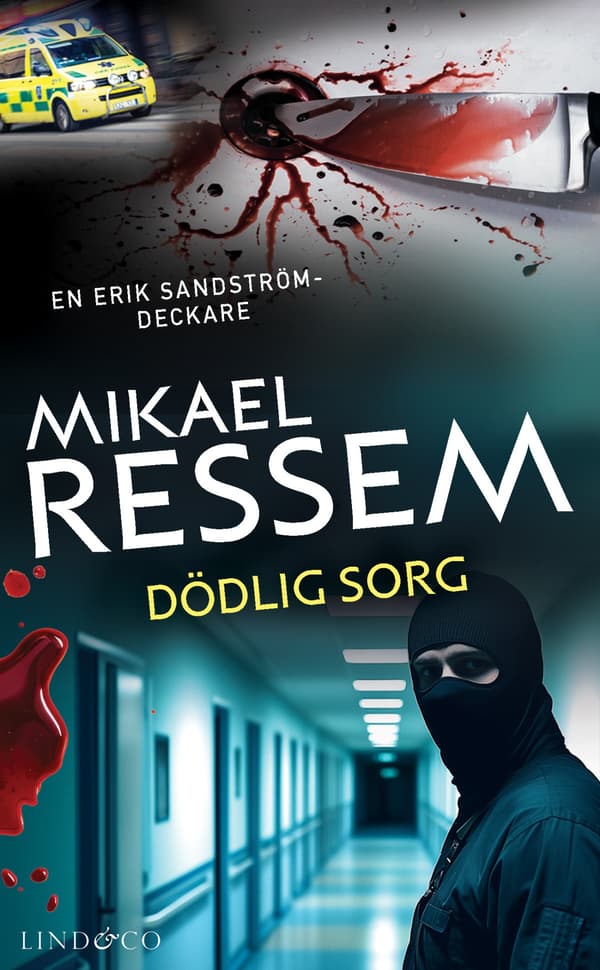 Dödlig Sorg (Bok / Häftad)