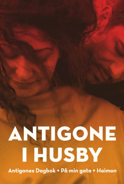 Antigone Husbyssä (Kirja / Nidottu)