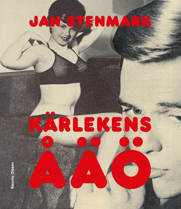 Kärlekens Åäö (Bok / Danskt band)
