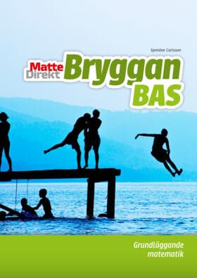 Bryggan Bas (Kirja / Nidottu)