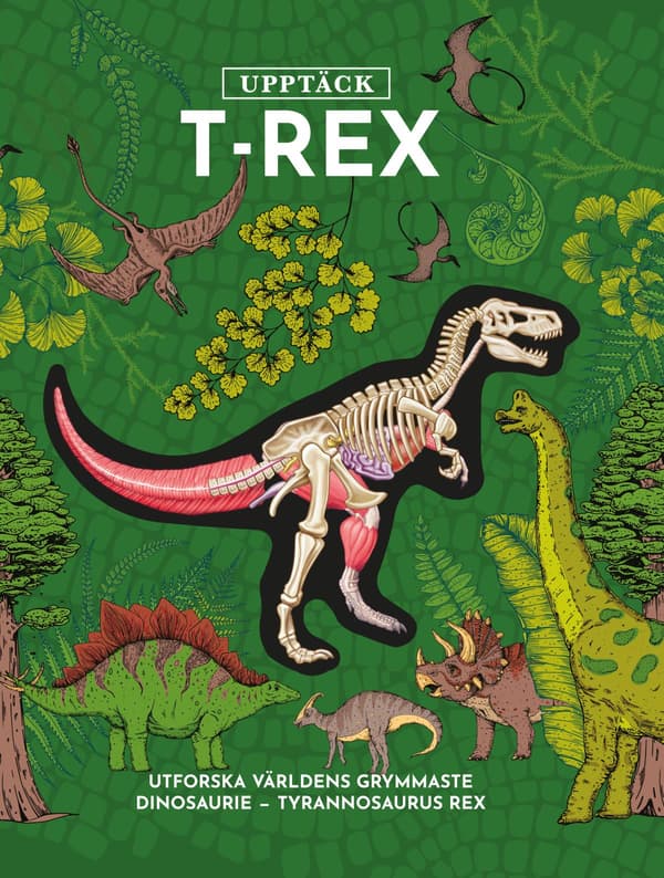 Upptäck T-Rex (Bok / Inbunden)