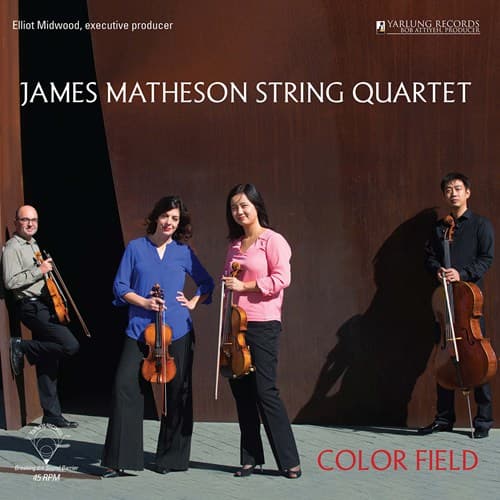 Matheson James String Quartet: Color Field (Vinyl LP)