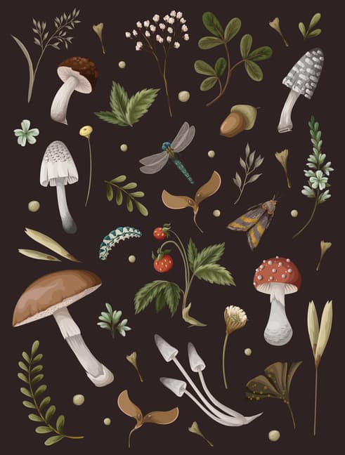 Mushroom Lined Journal (Bok / Häftad)