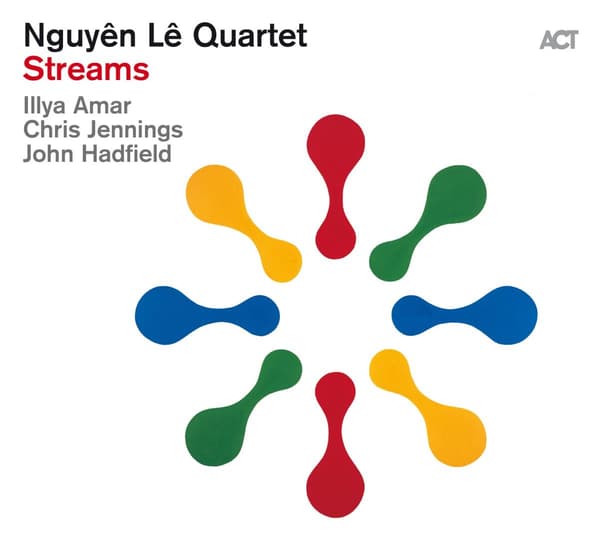 Nguyên Lê Quartet: Streams (Vinyyli-LP)