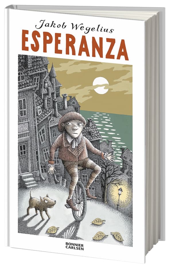 Esperanza (Kirja / Kovakantinen)
