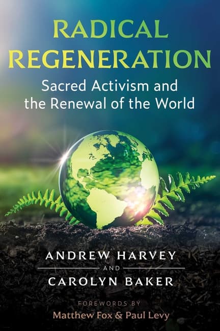 Radical Regeneration (Bok / Häftad)