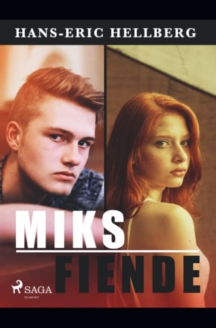 Miks Fiende (Bok / Häftad)