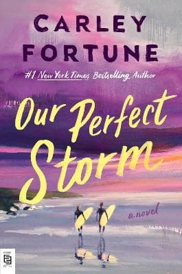 Our Perfect Storm (Bok / Häftad)