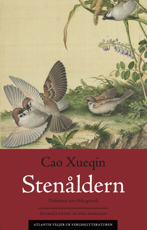 Drömmar Om Röda Gemak 5. Stenåldern (Bok / Häftad)