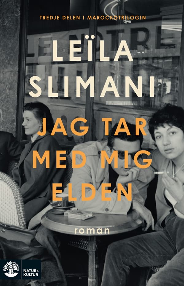 Jag Tar Med Mig Elden (Kirja / Sidottu)