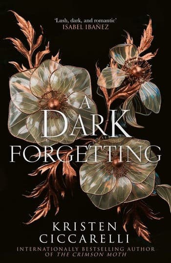 A Dark Forgetting (Kirja / Nidottu)