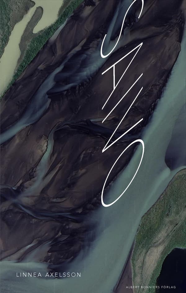 Saivo (Kirja / Kovakantinen)