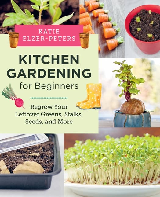 Kitchen Gardening for Beginners (Bok / Häftad)
