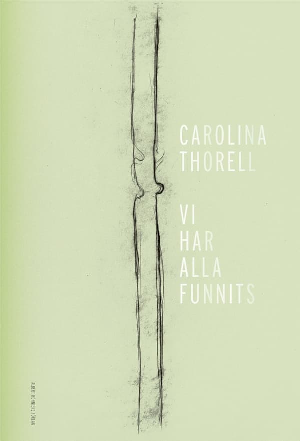 Vi Har Alla Funnits (Bok / Kartonnage)
