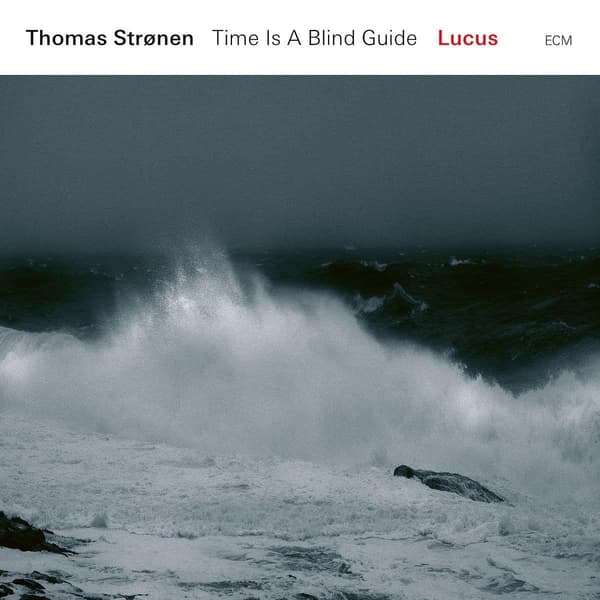 Strönen Thomas: Lucus - Time is a blind guide (Vinyl LP)