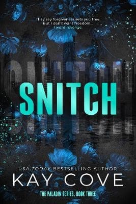 Snitch (Kirja / Pokkari)