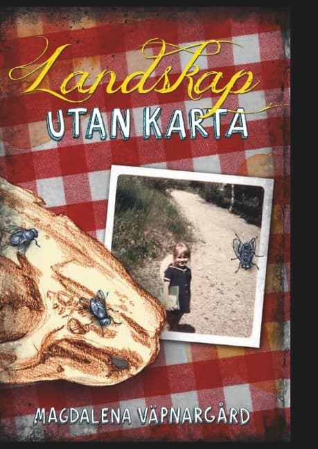 Maisema ilman karttaa (Kirja / Kovakantinen)