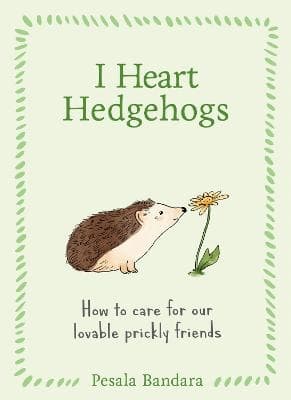 I Heart Hedgehogs (Bok / Inbunden)