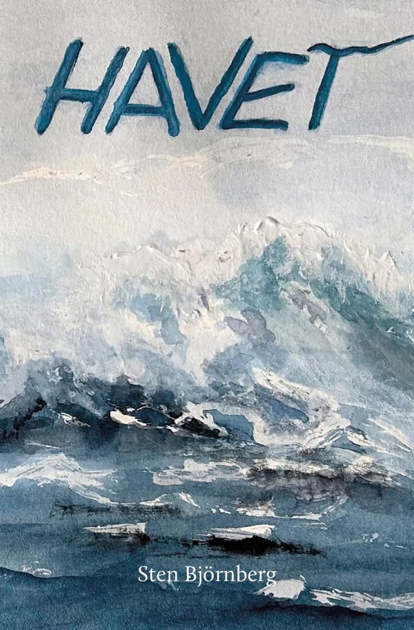 Havet (Bok / Danskt band)