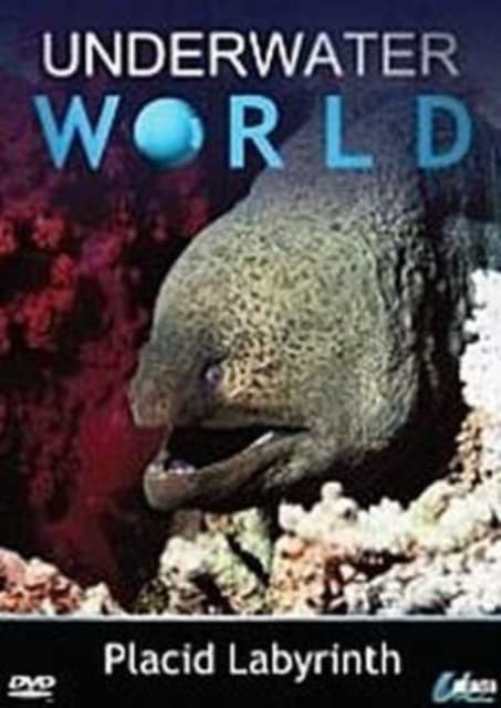 Underwater World: Placid Labyrinth (DVD)